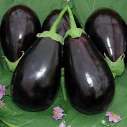 4810